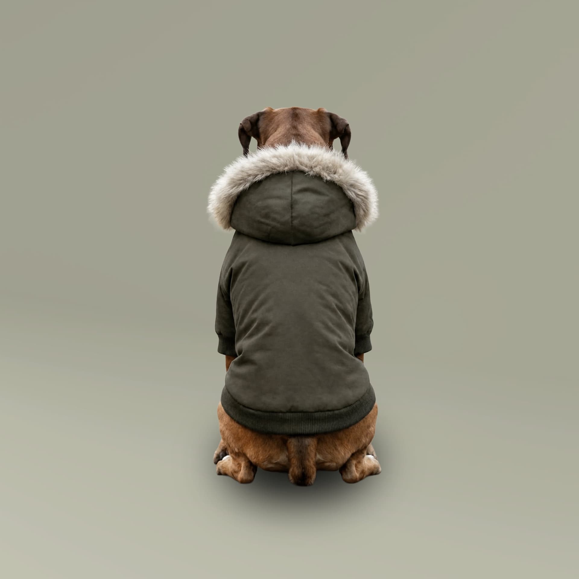Pet Parka Jacket — Khaki — product photo