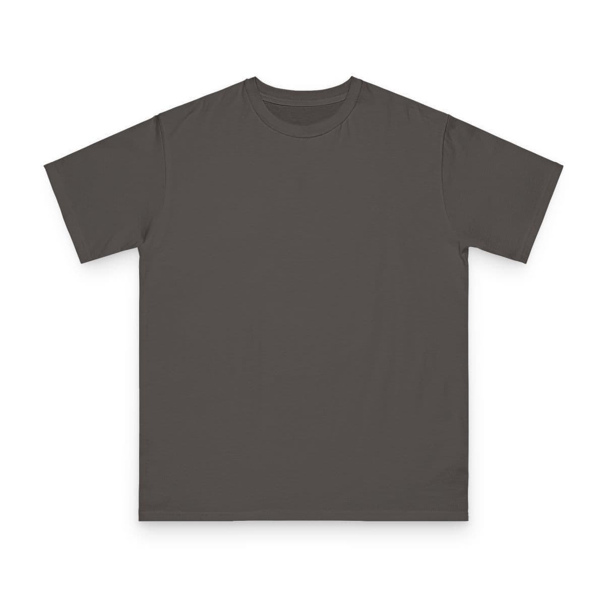 Plain charcoal organic unisex classic t-shirt, front view