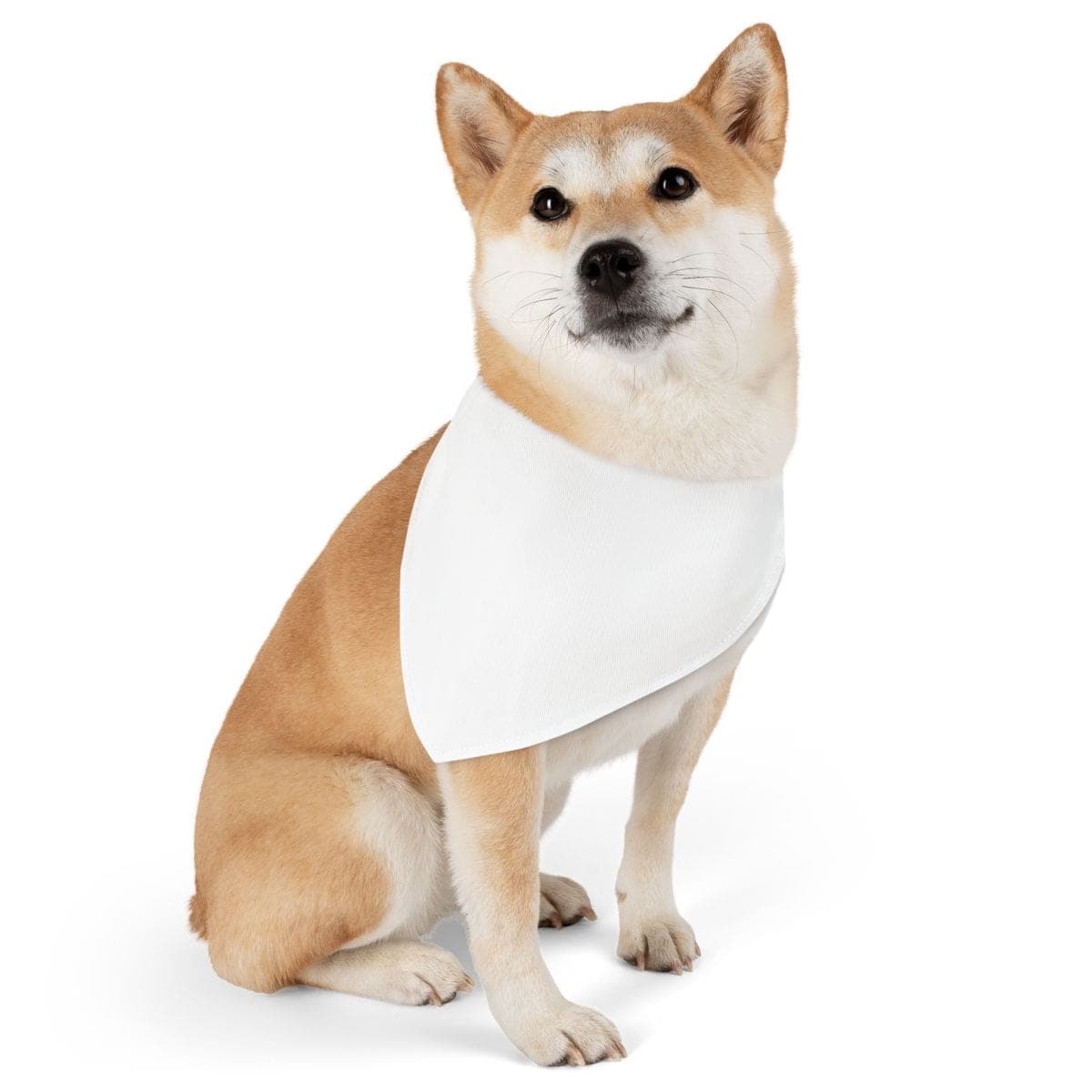 Custom Adjustable Dog Bandana Collar with Your Photo or Text